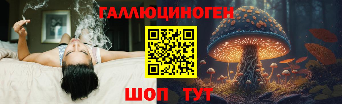 Галлюциногенные грибы Cubensis  Вход с VPN  Хабаровск  Псилоцибиновые грибы MAGIC MUSHROOMS 